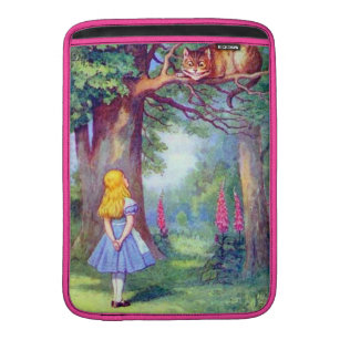 Alice in Wonderland for mac instal free