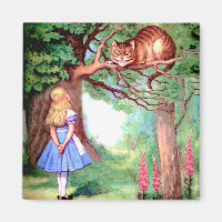Alice and the Cheshire Cat in Wonderland