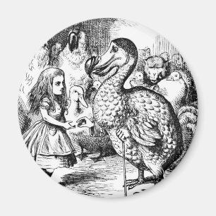 Alice and the Dodo Magnet
