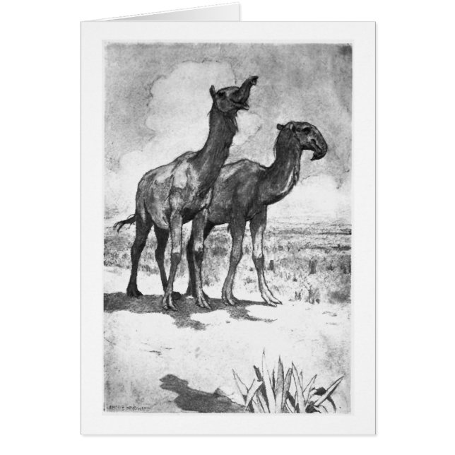 Alice B. Woodward: Macrauchenia art card (Front)