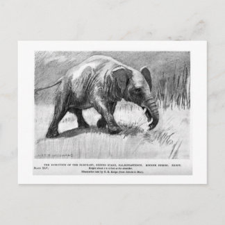 Alice B. Woodward: Palaeomastodon art postcard