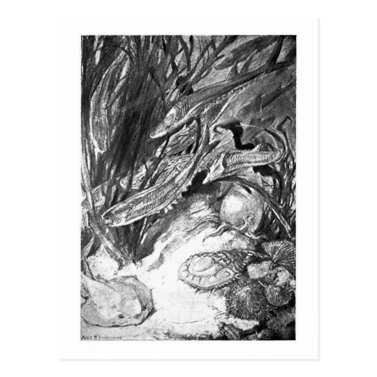 Alice B. Woodward: Silurian Marine art postcard