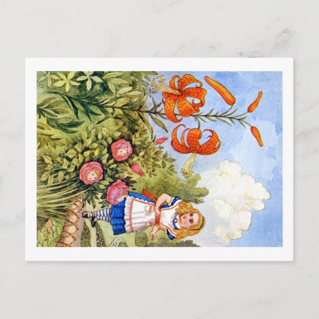 Alice Encounters Talking Flowers in Wonderland Postcard (Front)