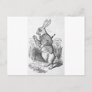 Alice in Wonderland 2.5 Postcard