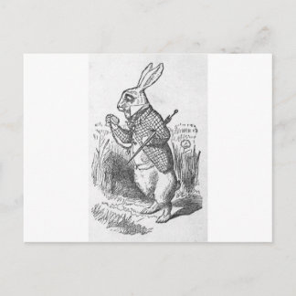 Alice in Wonderland 2.5 Postcard