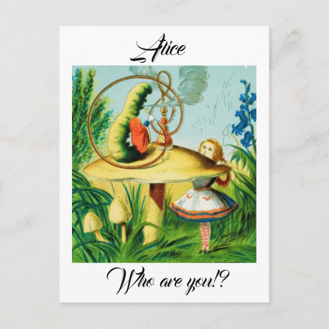 Alice in Wonderland - mushroom , sat a caterpillar Postcard (Front)