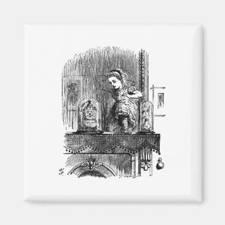 Alice in Wonderland Through the Looking Glass Magnet