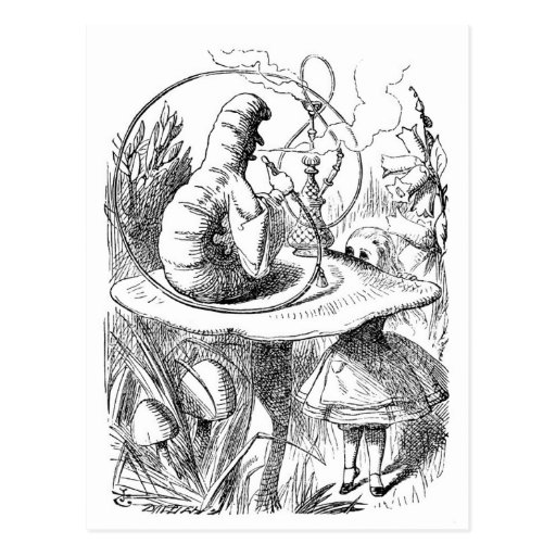 Image of Alice Meets the Caterpillar - Alice in Wonderland Postcard