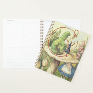 Alice Meets the Caterpillar Planner
