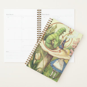 Alice Meets the Caterpillar Planner
