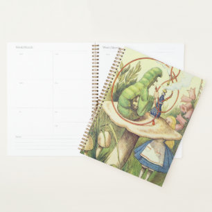 Alice Meets the Caterpillar Planner