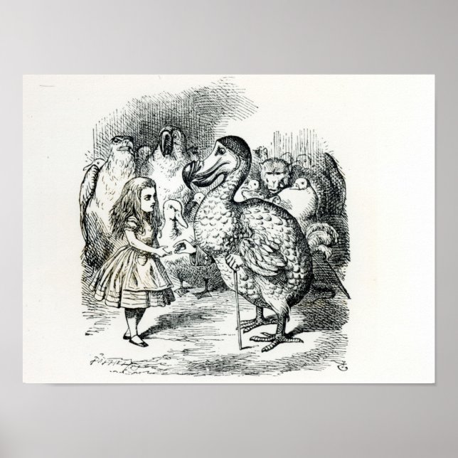 Alice meets the Dodo Poster (Front)