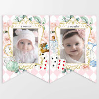 Alice Onederland, 1st birthday, monthly photo