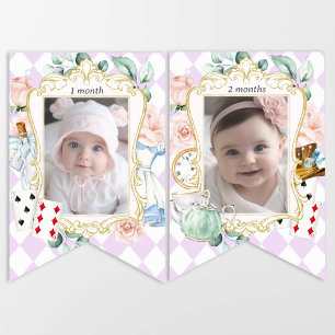 Alice Onederland, 1st birthday Monthly photo Bunting