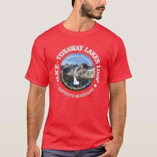 AliceToxaway Lkes Loop OBP Oversized T-Shirt