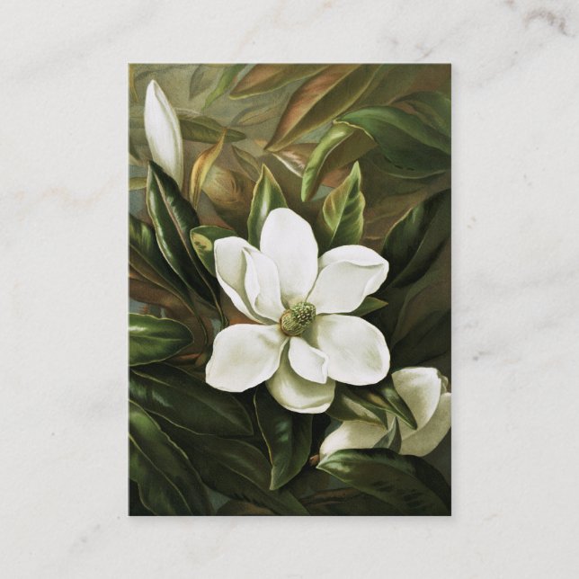 Alicia H. Laird: Magnolia Grandflora Business Card (Front)