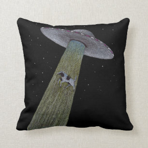 Alien Abduction Cushion