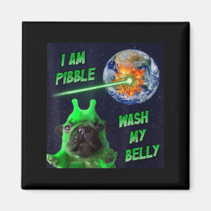 Alien Bble Funny Brainrot Dog Meme Space I Am Bble Magnet