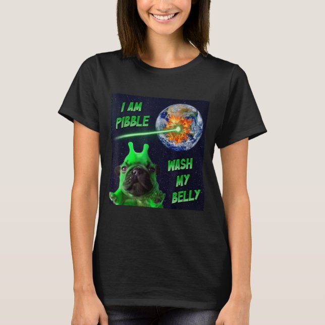 Alien Bble Funny Brainrot Dog Meme Space I Am Bble T-Shirt (Front)