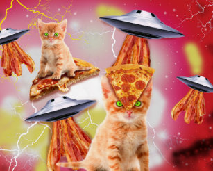 Cats In Ufos Gifts Gift Ideas Zazzle Uk