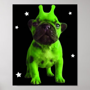 Alien Dog Meme Retro Silly Dog Vintage Space Pibbl Poster