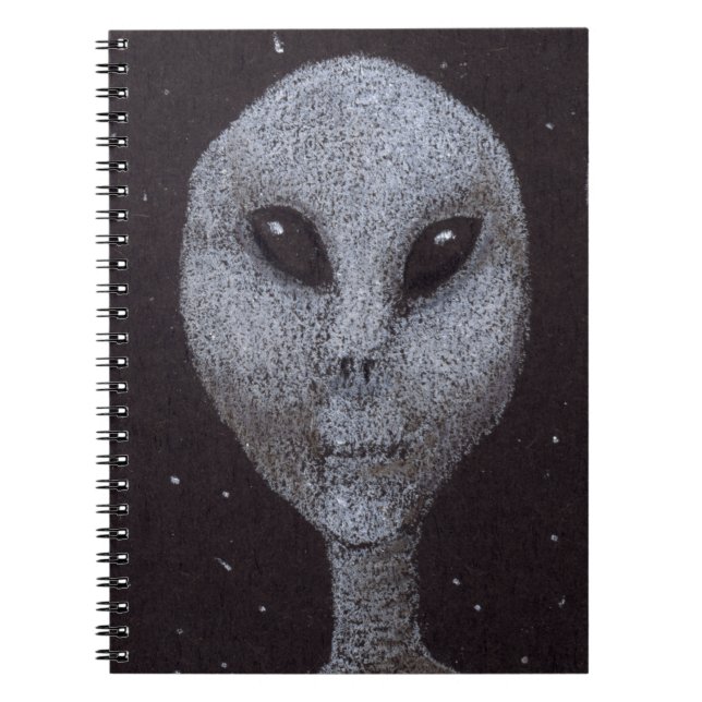 Alien Greys Notebook (Front)