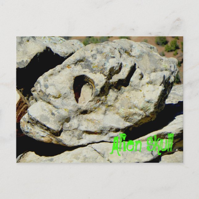 Alien Skull In Nation Postcard (Front)