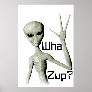 Alien Wha Zup? poster