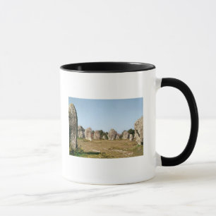 Alignment of standing stones, Megalithic Mug