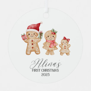 Alina Personalized Baby's First Christmas Metal Tree Decoration