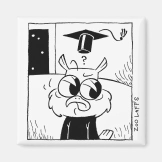 Alistair Woods' Confusion Magnet