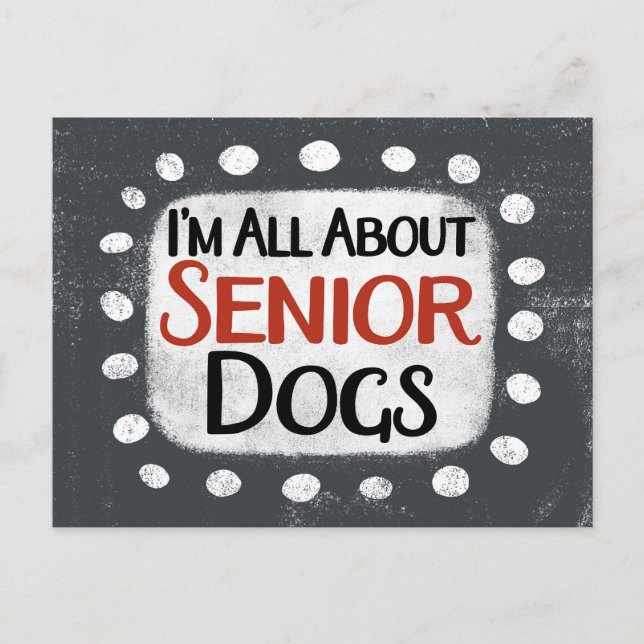 All About Senior Dogs Postcard (Front)