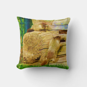 All About The Marmots - Baby Yellow-bellied Marmot Cushion