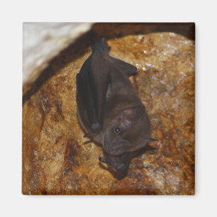 All alone magnet