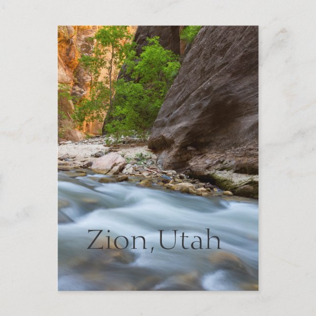 All along the Narrows Postcard (Front)