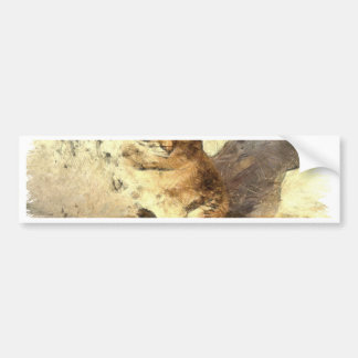 All Cats Are Black In The Dark Pencil Sketch Bumper Sticker