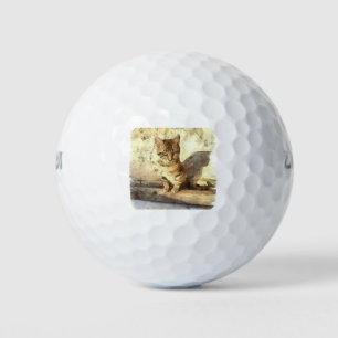 All Cats Are Black In The Dark Pencil Sketch Golf Balls