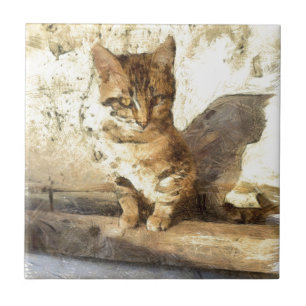 All Cats Are Black In The Dark Pencil Sketch Tile