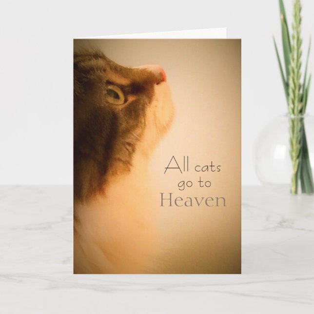 All Cats Go To Heaven Sympathy Card (Front)
