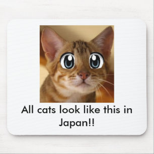 All cats look like this in Japan!! - Mouse Pad