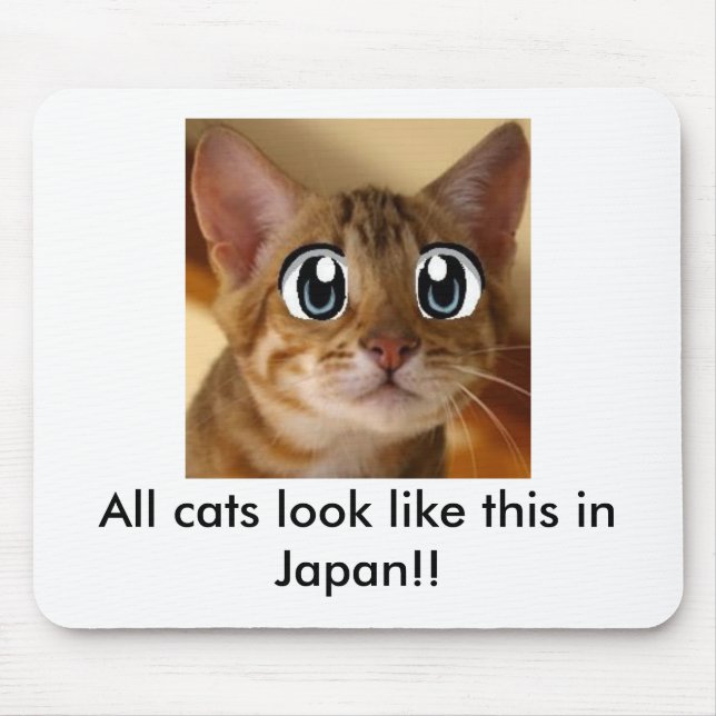 All cats look like this in Japan!! - Mouse Pad (Front)