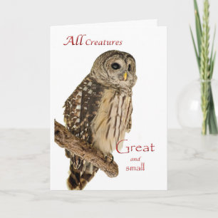 All Creatures Christmas Card