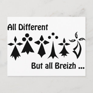 All different but all Breizh Bretagne Postcard