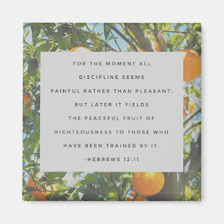 All Discipline Magnet