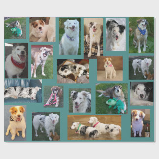 All Dog Wrapping Paper2 Wrapping Paper