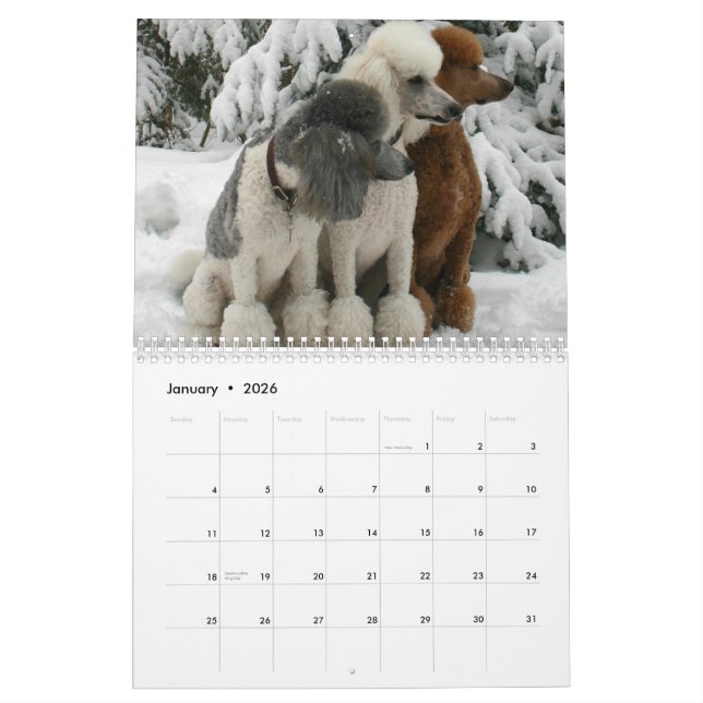 All Dogs Are From Heaven Calendar (Jan 2026)
