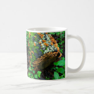 All dressed up and nowhere to go nature art beauty coffee mug