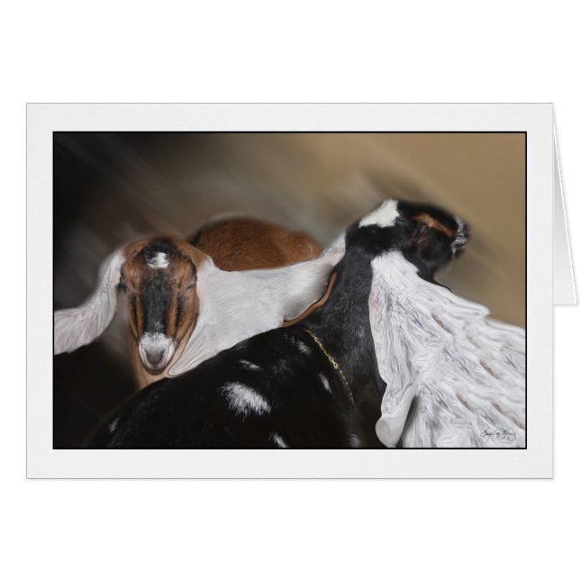 All Ears (Front Horizontal)