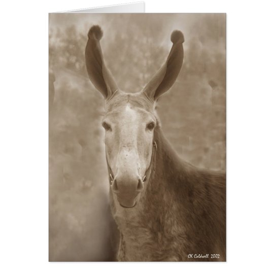 All Ears Card