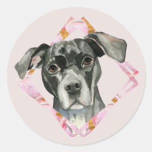 All Ears   Cute Black Pit Bull Dog Illustration Classic Round Sticker